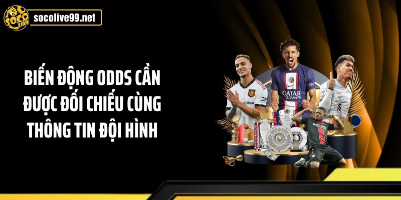 Biến động Odds cần được đối chiếu cùng thông tin đội hình